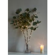 Ветвь эвкалипта иммитация 62см 32LED тепл. бел. IP44 6ч таймер кабель корич. 50см (уп.3шт) КОСМОС KOC_INT-B131